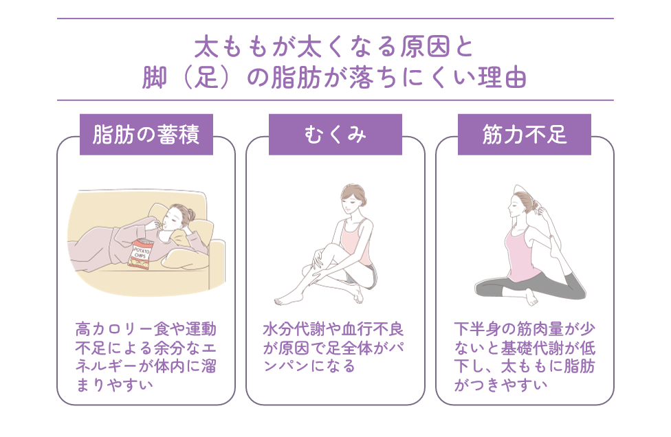 太ももが太くなる原因と脚（足）の脂肪が落ちにくい理由