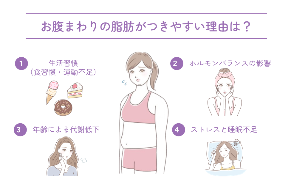 お腹まわりの脂肪がつきやすい理由は？
