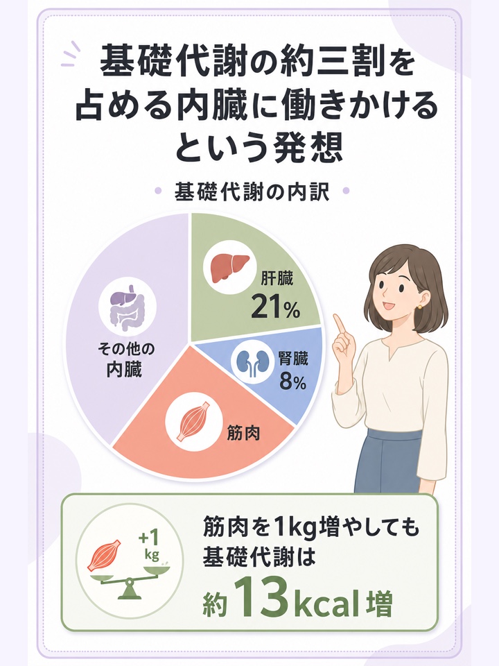 基礎代謝の約三割を占める内臓に働きかけるという発想